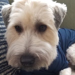 Meet your Posher, Deena